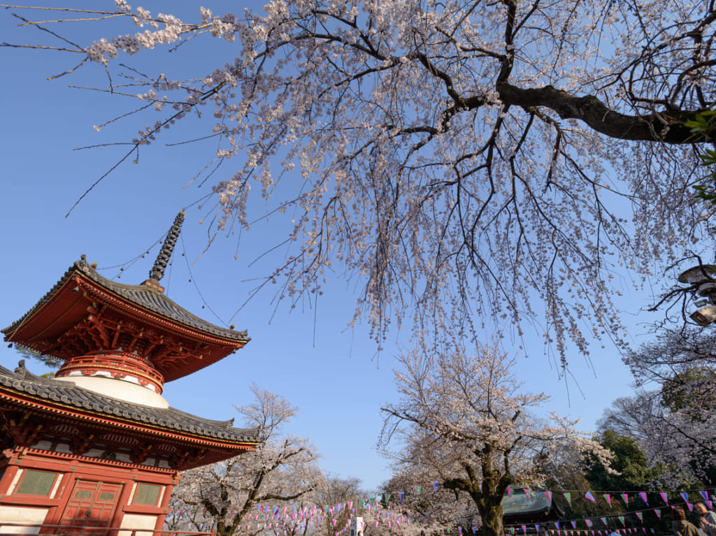 比叡山延暦寺が拝観停止になり境内も立ち入り不可に