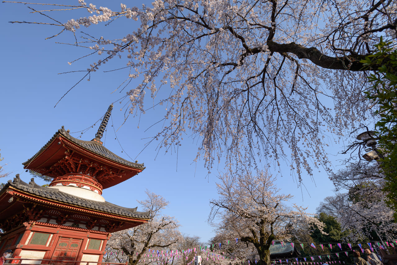 大津市 比叡山延暦寺が4 月 拝観停止になっています 延暦寺会館も臨時休館中 号外net 大津市 高島市