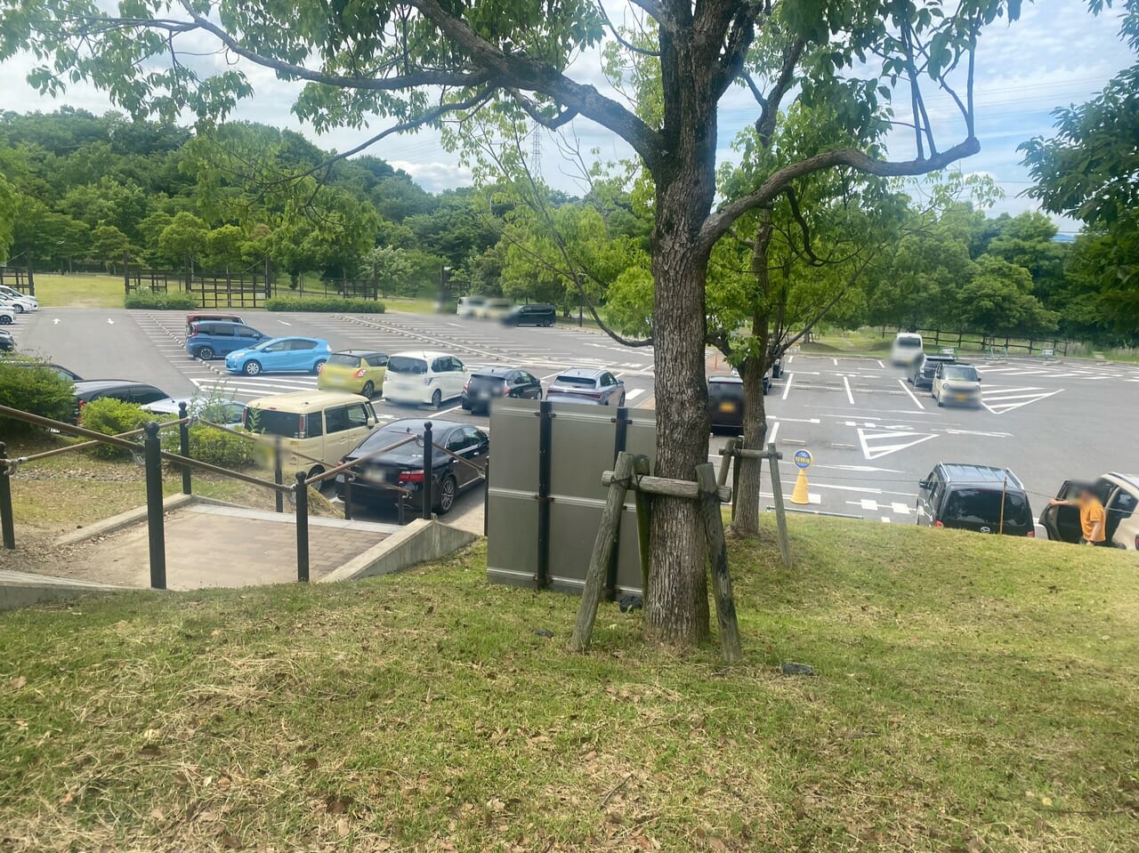 びわこ文化公園西側駐車場