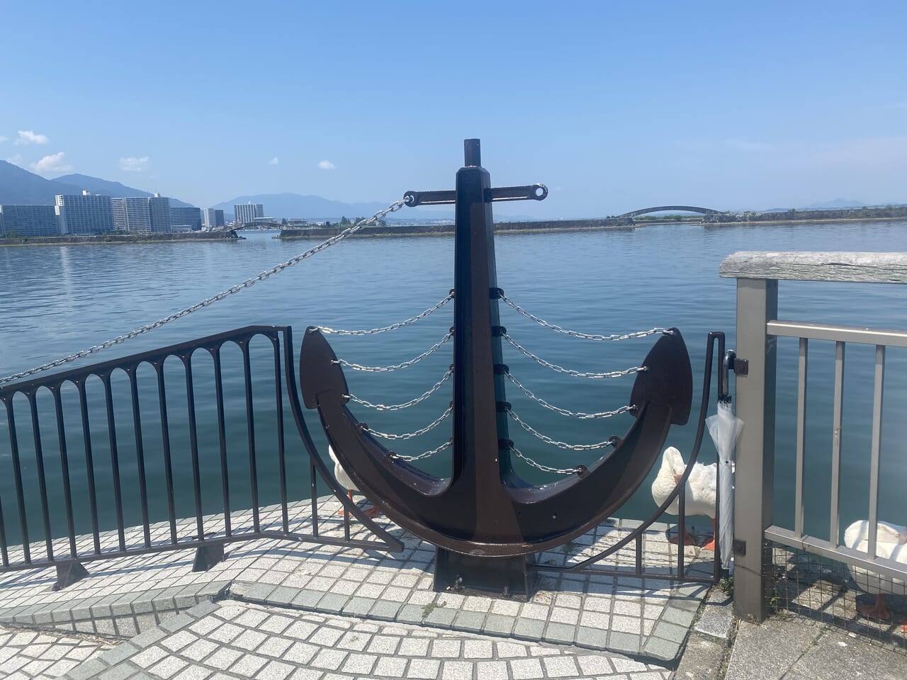 湖岸沿い