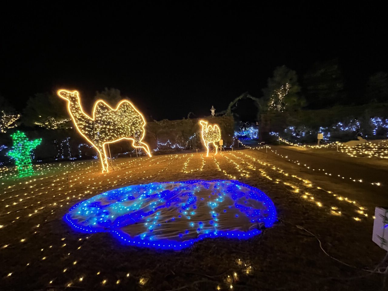びわ湖大津館イルミネーション
