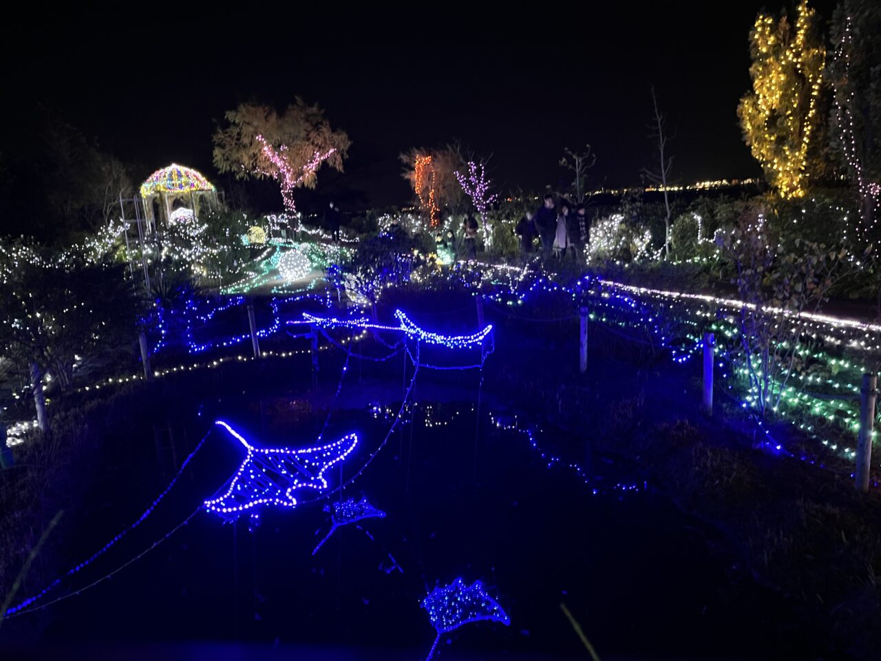 びわ湖大津館イルミネーション