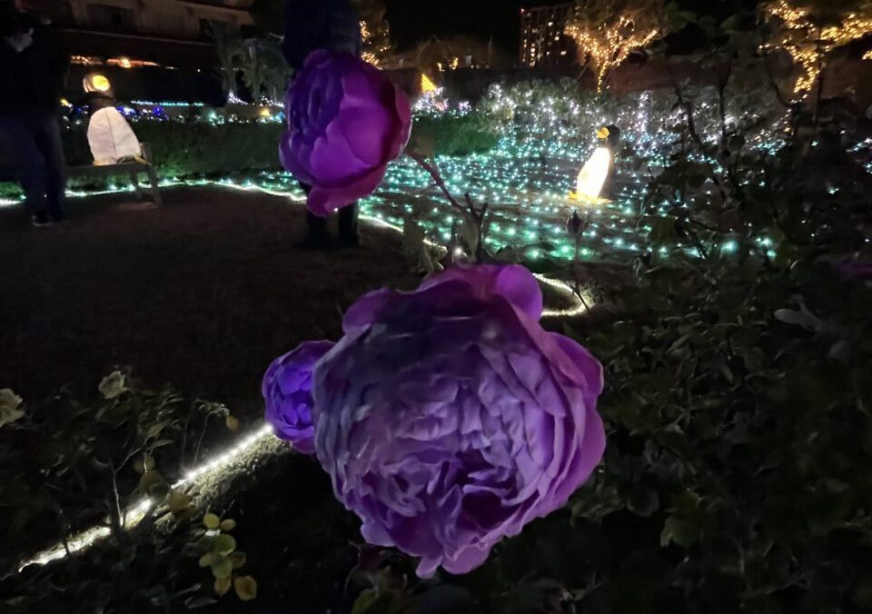 びわ湖大津館イルミネーション