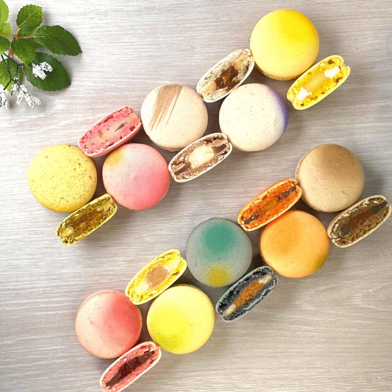 滋賀のお宝ショコラ特集