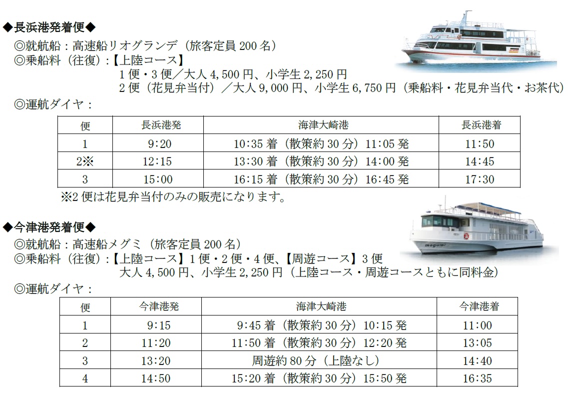 海津大崎桜クルーズ2026