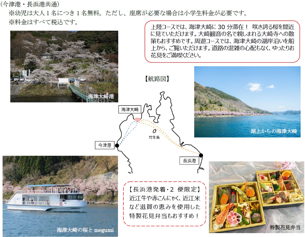 海津大崎桜クルーズ2026