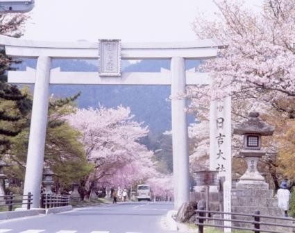 ことことめぐり