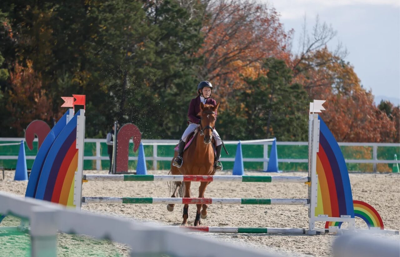 サラブレッドホースショー ザ・セカンドキャリア