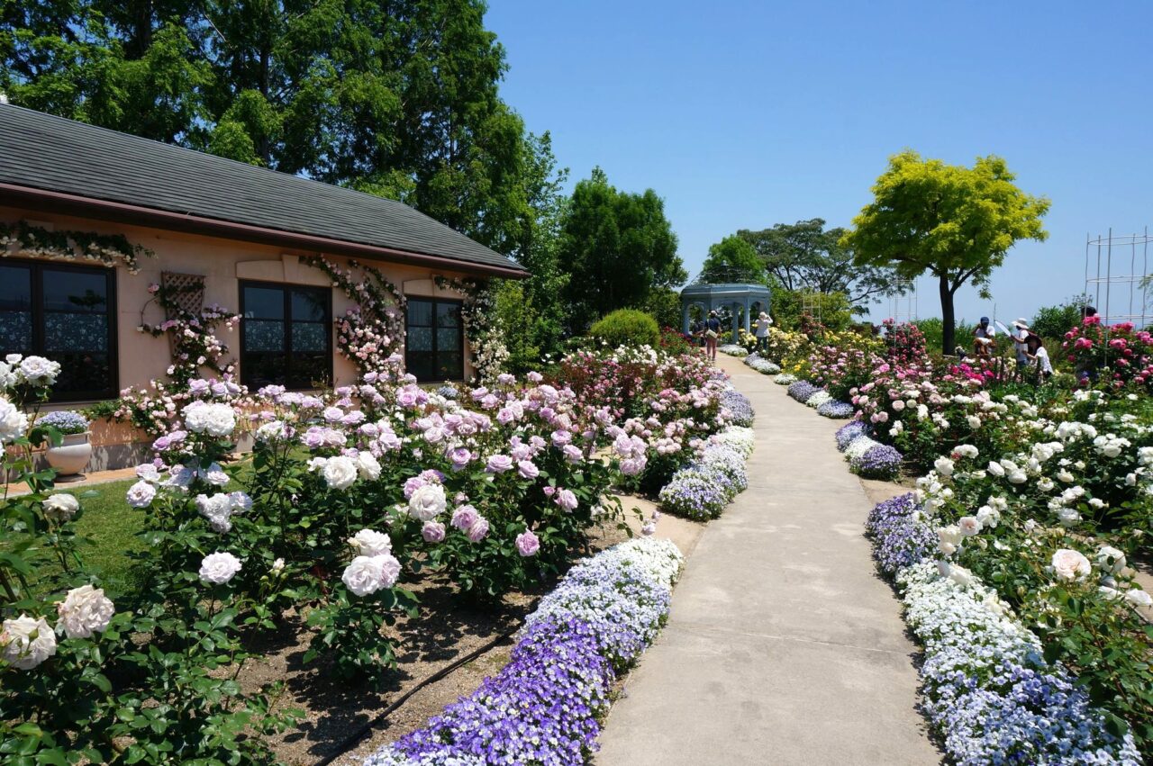 ミシガンクルーズ 春の区間乗船キャンペーン