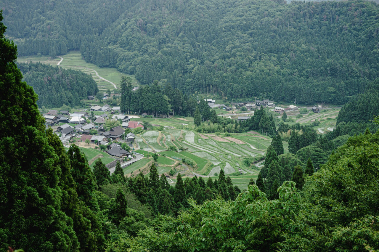 滋賀県の里山