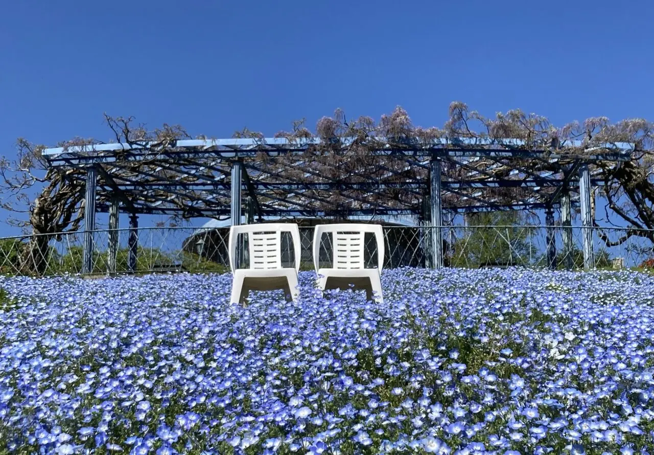 ガーデンミュージアム比叡