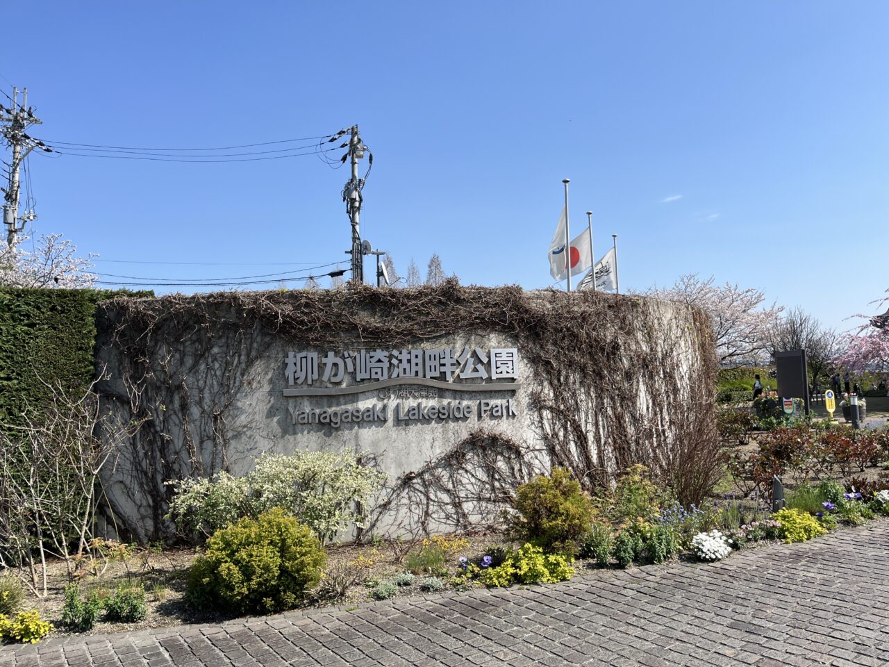 柳が崎湖畔公園