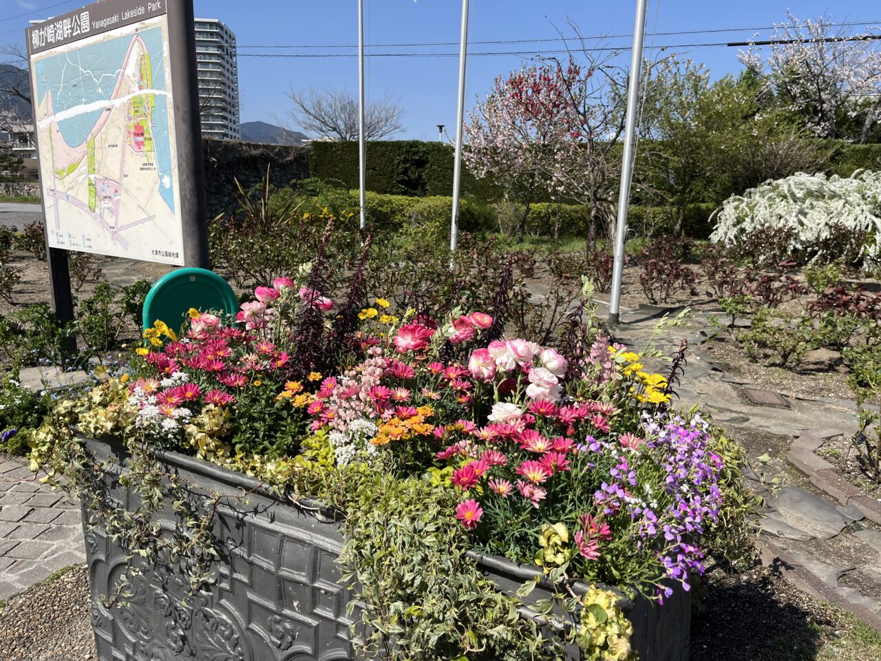 柳が崎湖畔公園