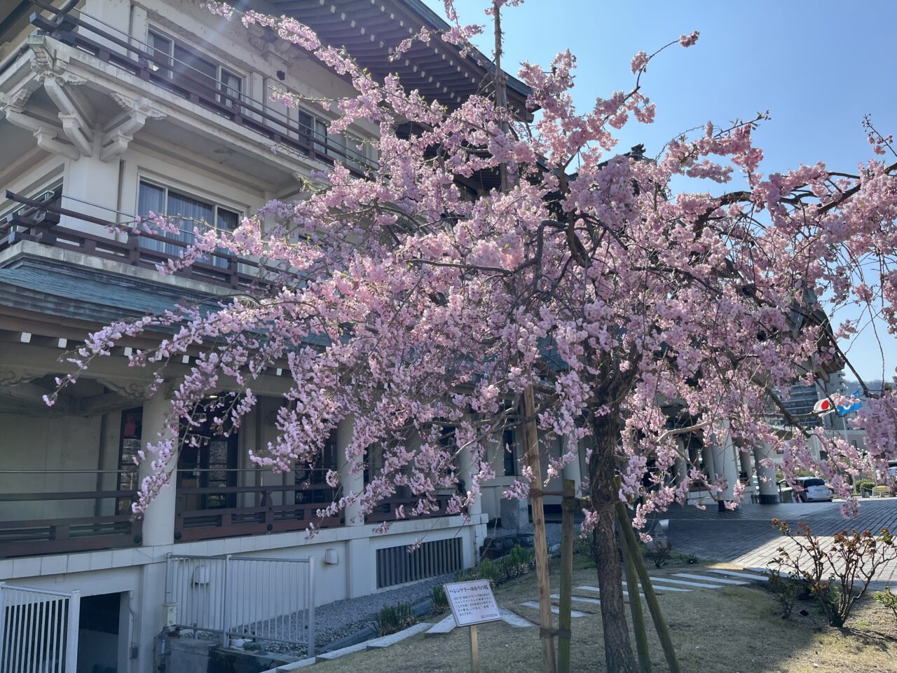 柳が崎湖畔公園