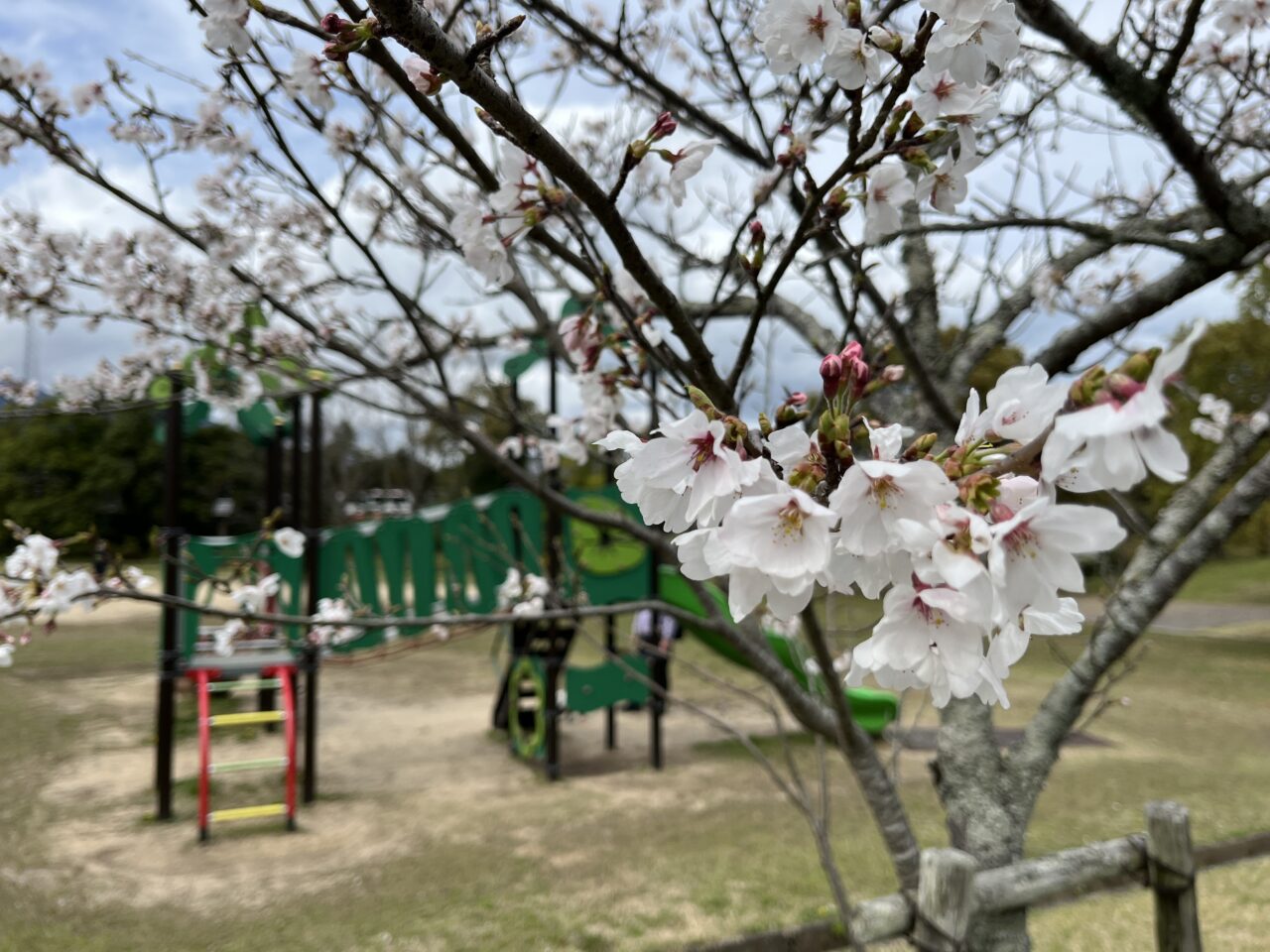 和邇公園