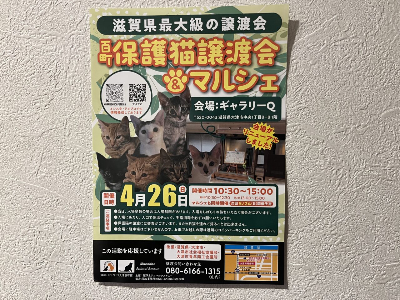 百町保護猫譲渡会&マルシェ