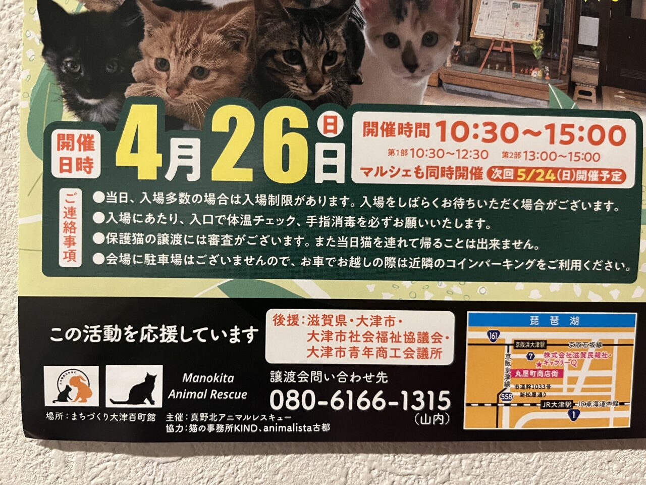 百町保護猫譲渡会&マルシェ