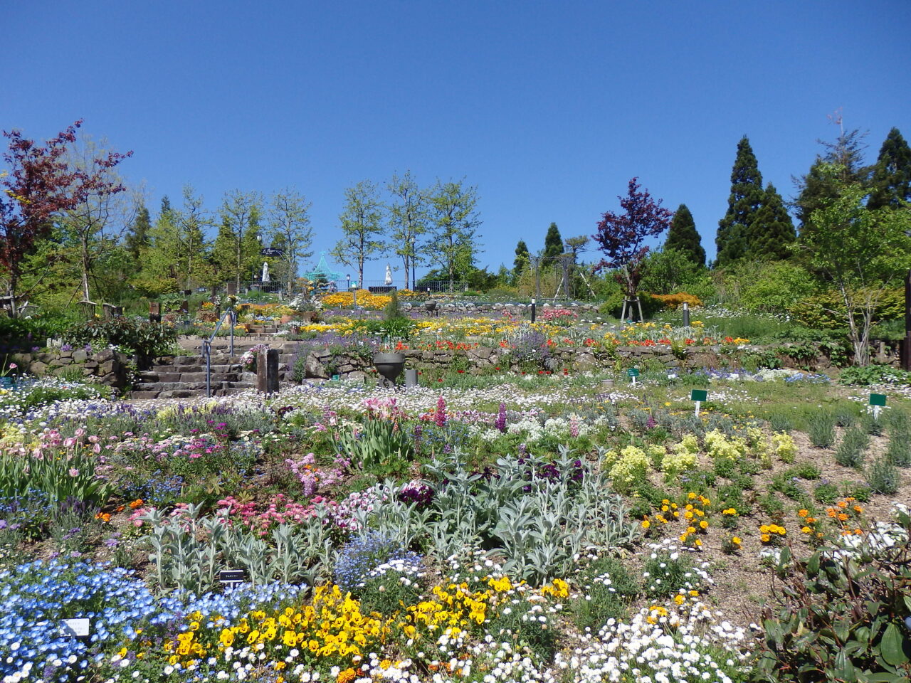 ガーデンミュージアム比叡