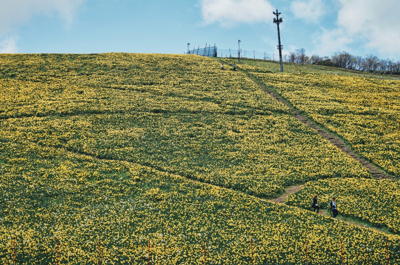 びわ湖バレイ2026グリーンシーズン