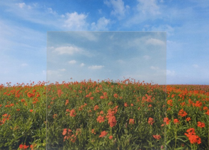 ファイアライト®Ｆ エアリティ™