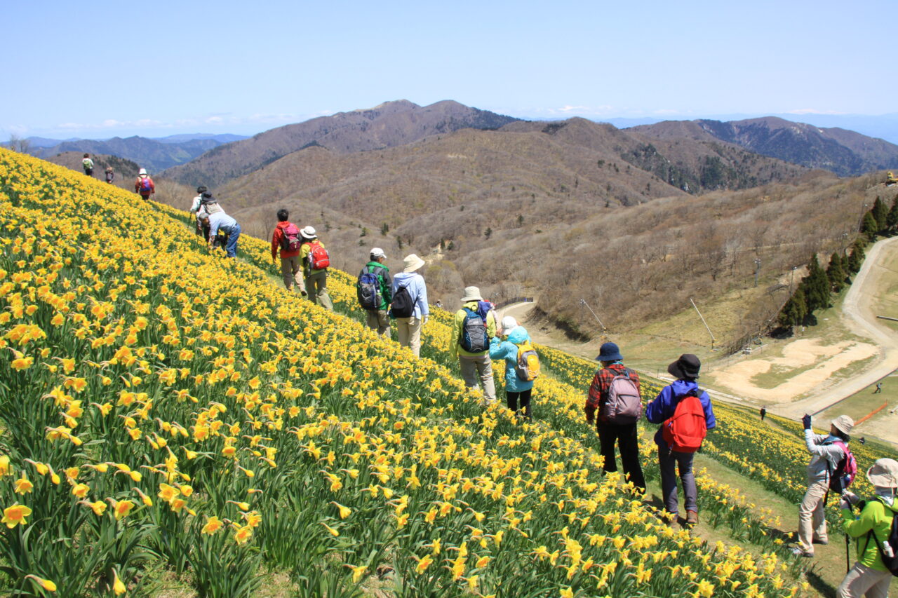びわ湖バレイ2026グリーンシーズン