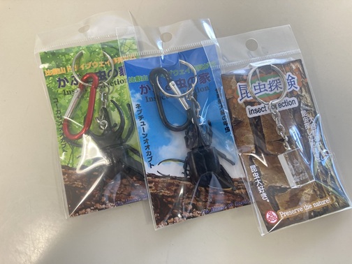 かぶと虫の家