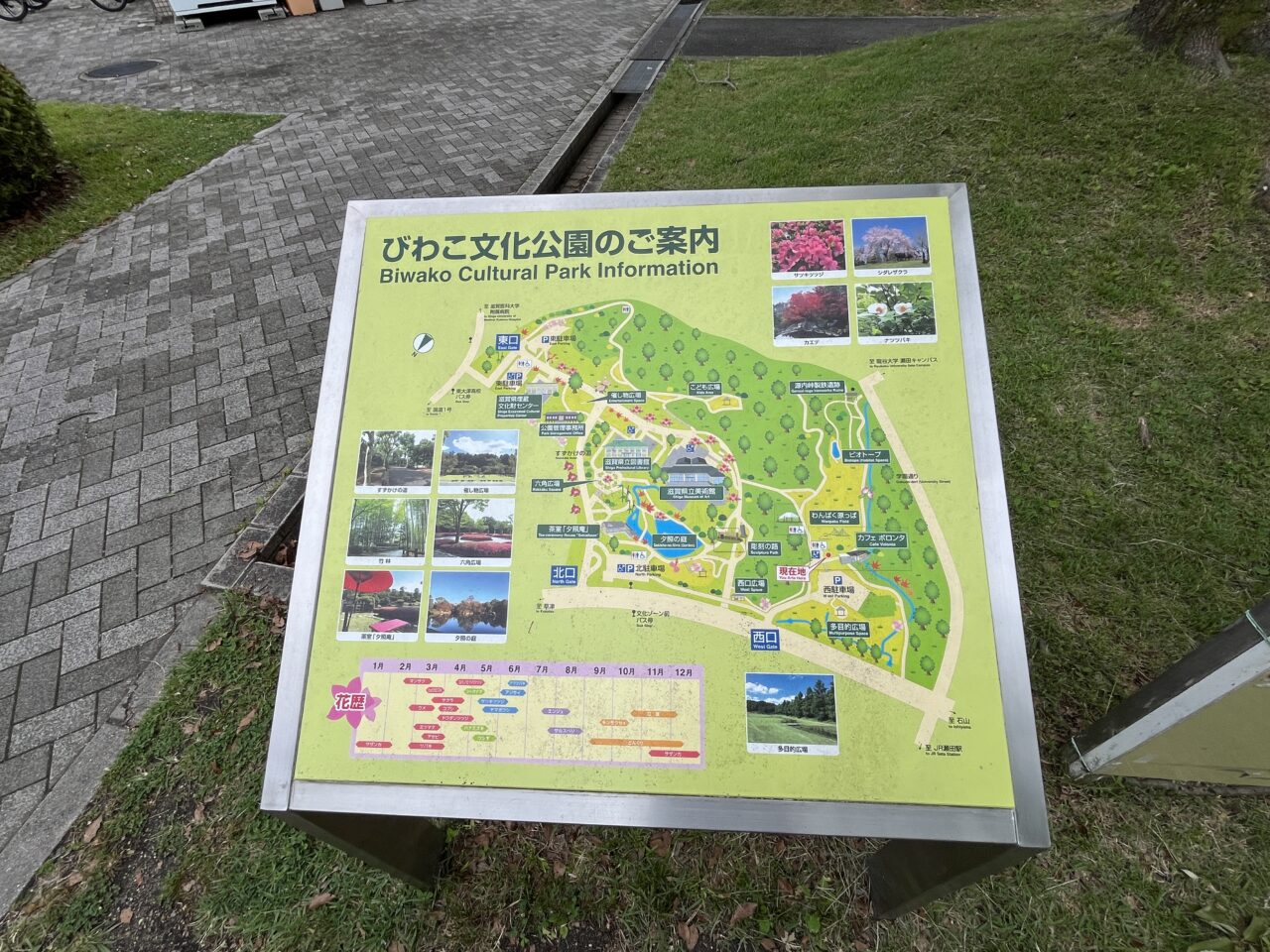 びわこ文化公園