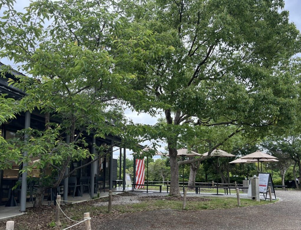 パンとエスプレッソとびわこ文化公園