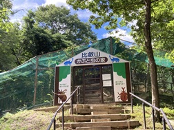 かぶと虫の家