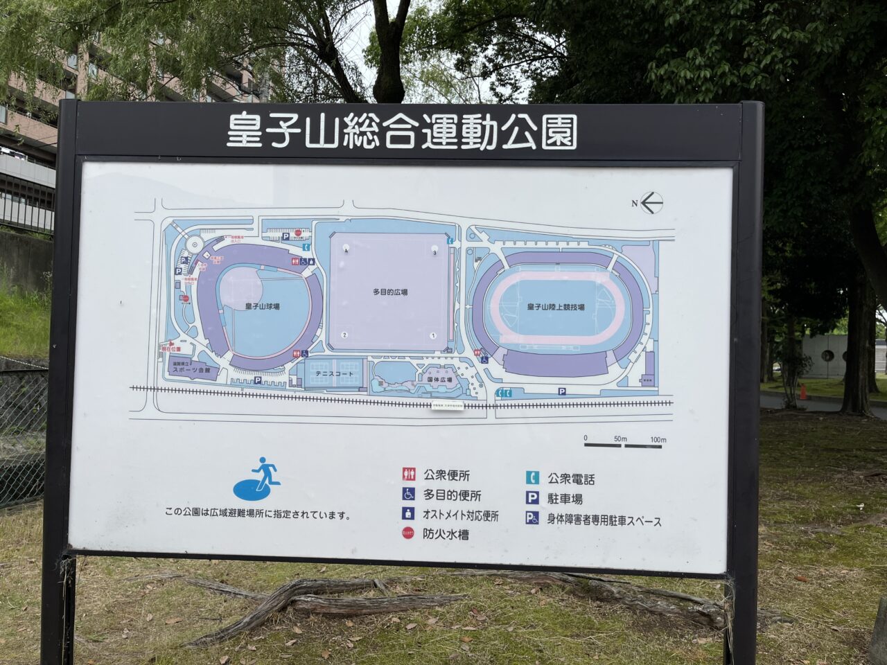 滋賀県立スポーツ会館