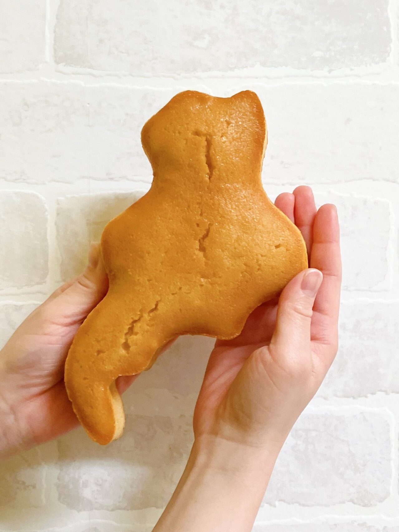 びわこフィナンシェ しあわせサイズ