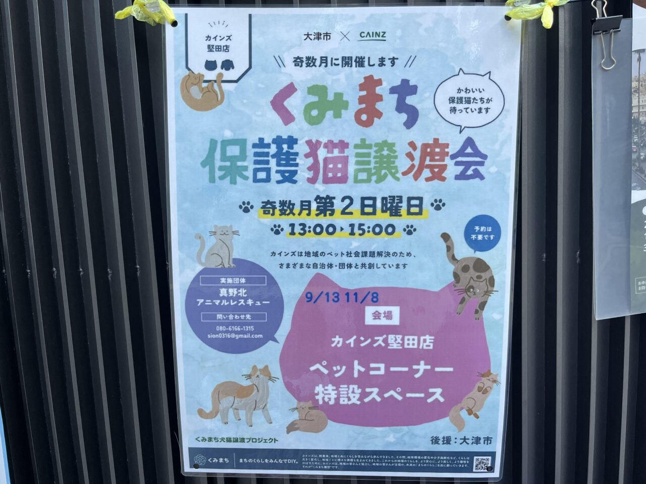 保護猫譲渡会