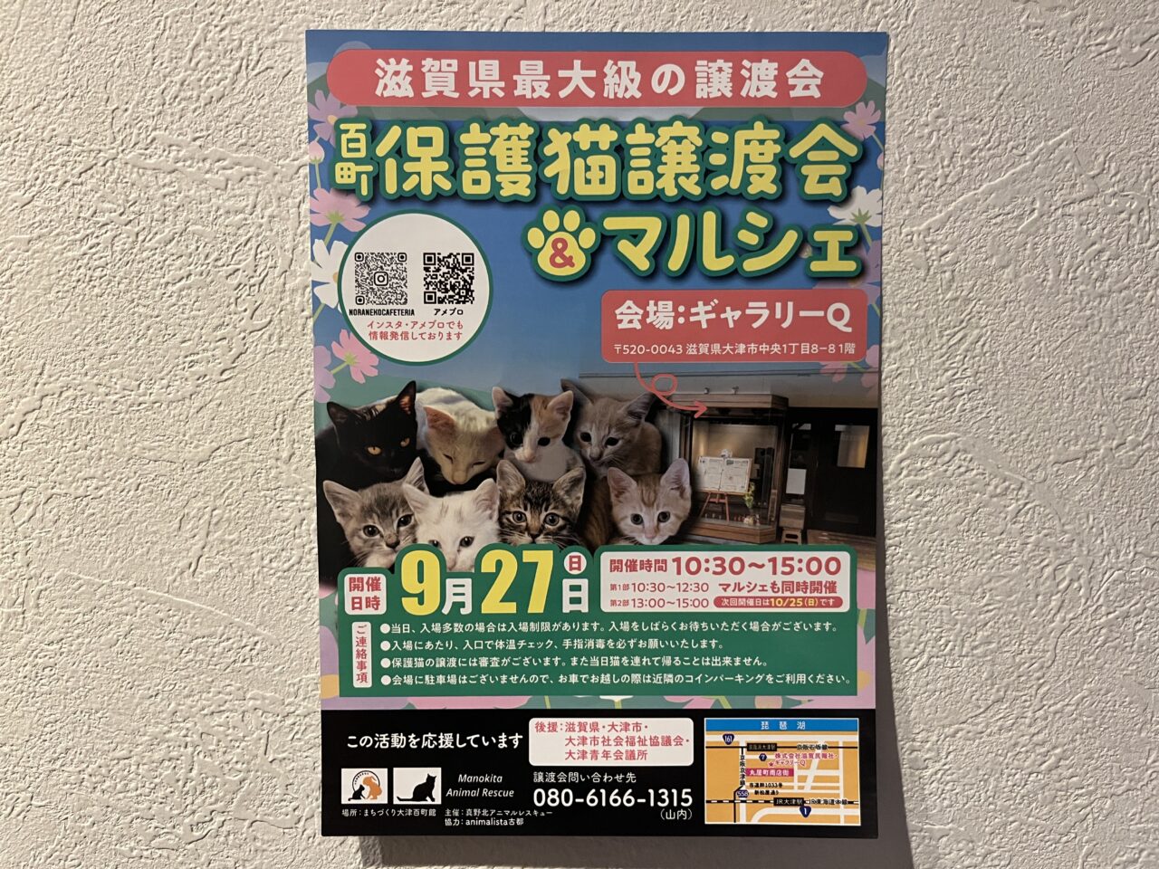 保護猫譲渡会