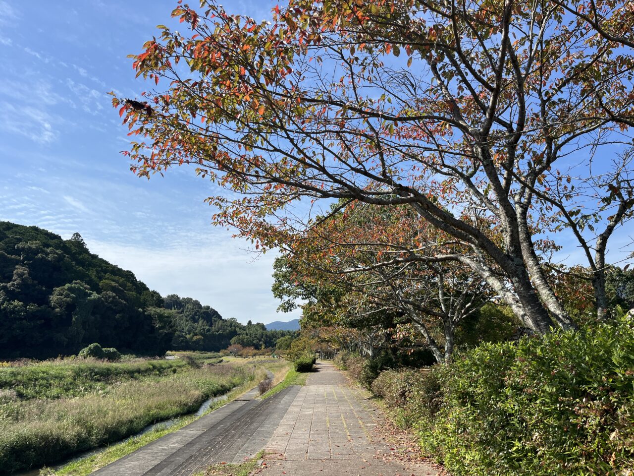 和邇公園