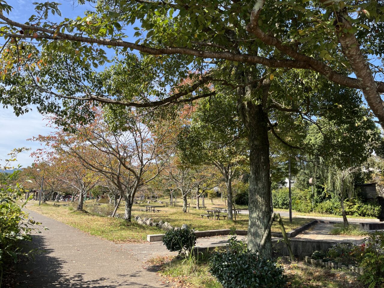 和邇公園