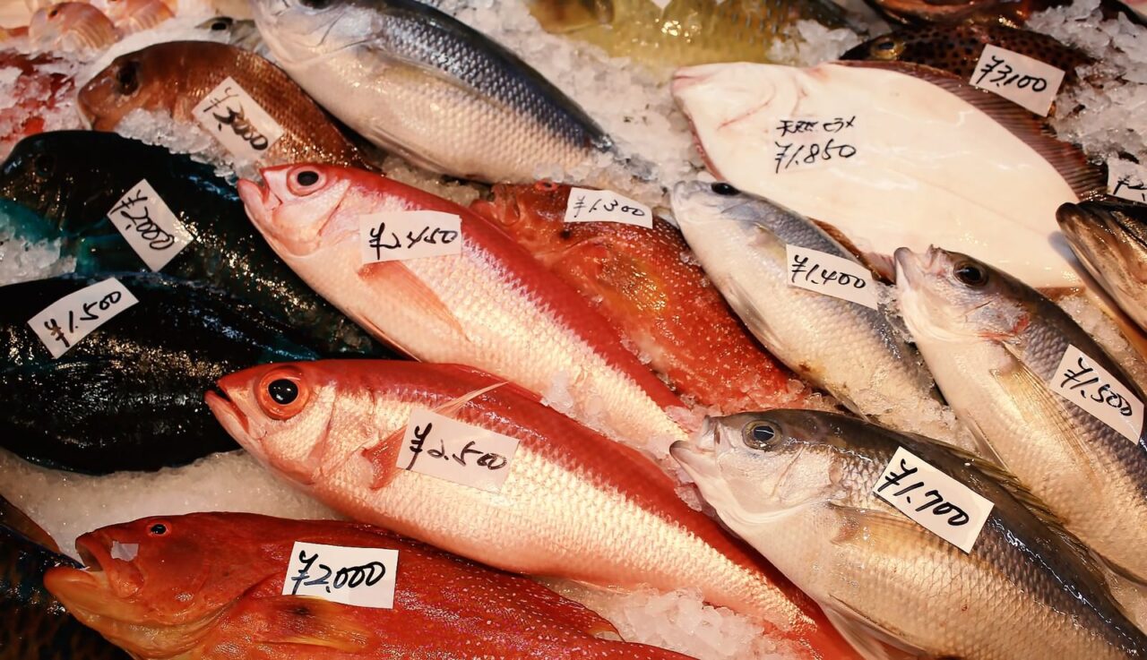 魚