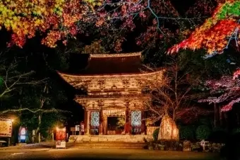 三井寺特別拝観